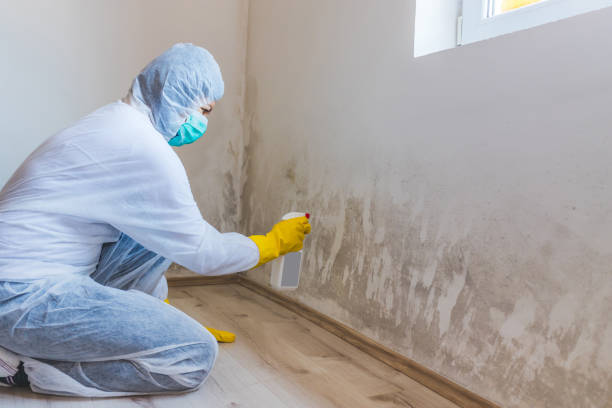 Best Mold Testing  in Charlottesville, VA