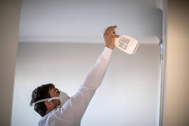 Certified Mold Removal in Charlottesville, VA