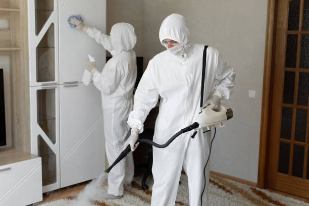 Best Professional Mold Removal  in Charlottesville, VA